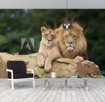 Bild på Couple de Lions